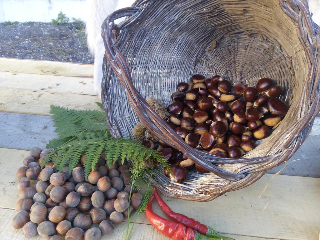 Il Giardino Di Leoca Bed & Breakfast Nicolosi Room photo