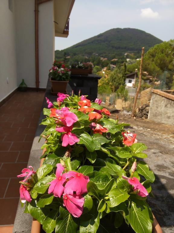 Il Giardino Di Leoca Bed & Breakfast Nicolosi Exterior photo